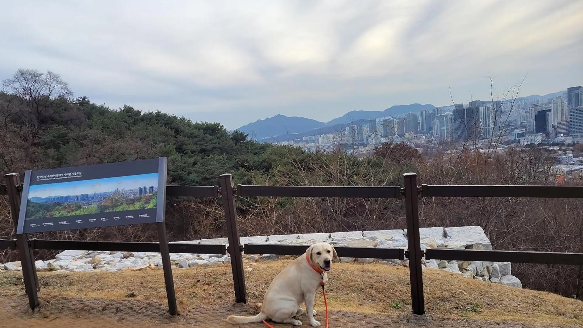 On The Main Street Of Hbc #4 Villa Seoul South Korea
